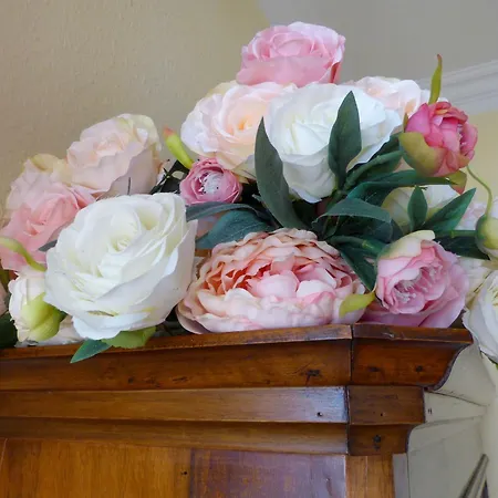 Ahlbeck, Schloss Hohenzollern - We 23 Villa Heringsdorf (Usedom)